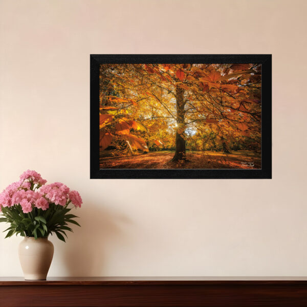 Autumn Leaves  Black Framed Print Wall Art