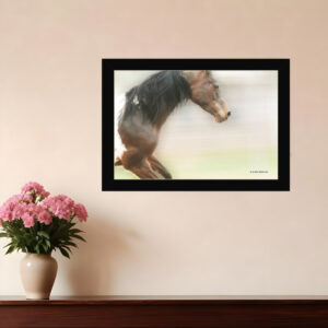 Leap Of Faith  Black Framed Print Wall Art