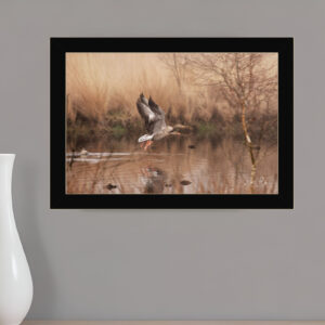 Fly Away  Black Framed Print Wall Art