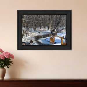 Great Outdoors Nature  Black Framed Print Wall Art