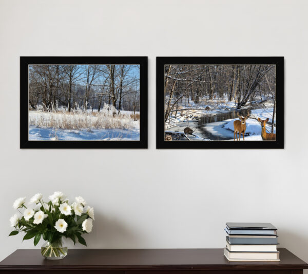 Set Of Two Great Outdoors Nature or Winter Forest  Black Framed Print Wall Art