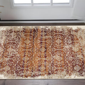 3' X 5' Rust Oriental Area Rug