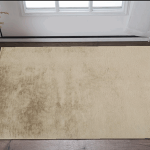 2' X 3' Tan Shag Area Rug