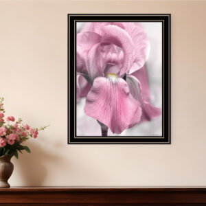 Pink Iris Black Framed Print Wall Art