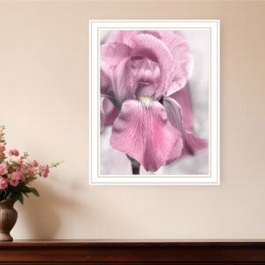 Pink Iris White Framed Print Wall Art