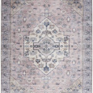 5' X 7' Pink and Blue Oriental Power Loom Distressed Washable Non Skid Area Rug