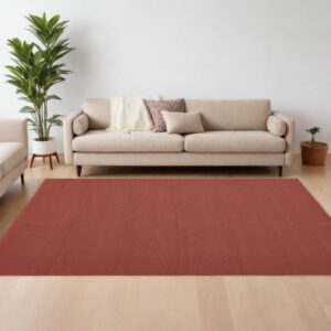 8' X 10' Red and Tan Hand Woven Area Rug